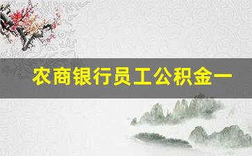 农商银行员工公积金一般多少_农商行正式员工待遇