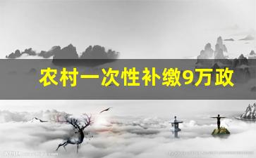 农村一次性补缴9万政策_农保交6000元一年领多少