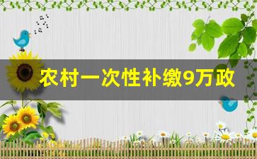 农村一次性补缴9万政策什么时候实施_农村养老保险缴费标准