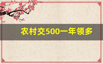 农村交500一年领多少_农村一次性补缴9万政策