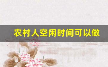 农村人空闲时间可以做哪些副业_能利用空余时间赚钱的副业