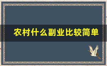 农村什么副业比较简单赚钱