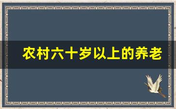 农村六十岁以上的养老怎么办