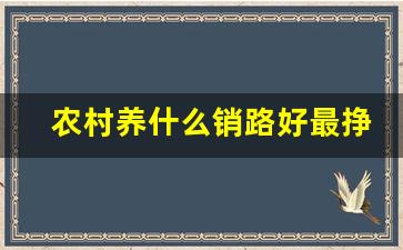 农村养什么销路好最挣钱_2024年商机项目