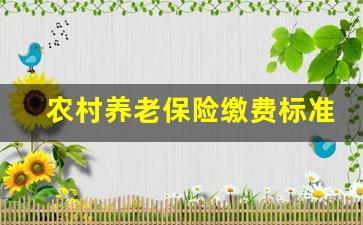 农村养老保险缴费标准_农民60岁养老新政