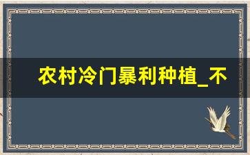 农村冷门暴利种植_不愁销路的懒人种植