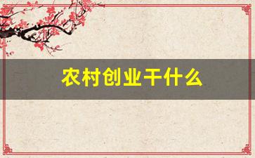 农村创业干什么