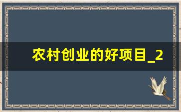 农村创业的好项目_2023最佳创业商机