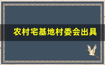 农村宅基地村委会出具的证明