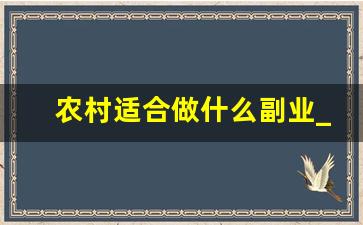 农村适合做什么副业_村里有什么工作副业可以做