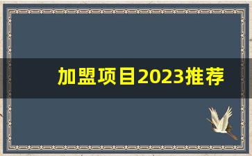 加盟项目2023推荐