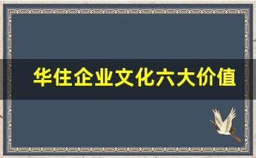 华住企业文化六大价值观视频