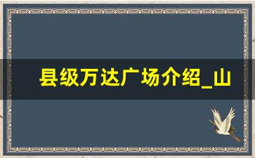 县级万达广场介绍_山东哪个县有万达广场