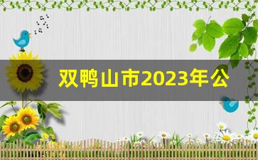 双鸭山市2023年公开招聘工作人员公告