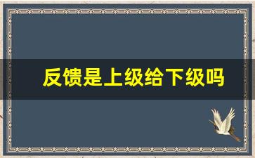 反馈是上级给下级吗