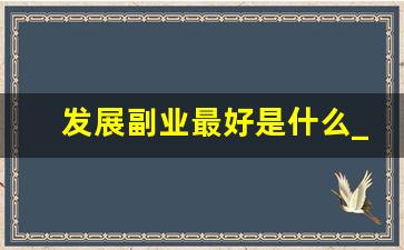 发展副业最好是什么_副业能干什么