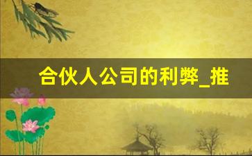 合伙人公司的利弊_推广合伙人邀请码是多少