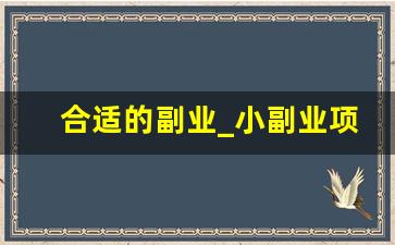 合适的副业_小副业项目大全