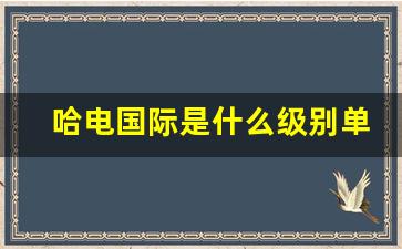 哈电国际是什么级别单位_哈电国际待遇怎么样