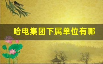 哈电集团下属单位有哪些_国汇电力公司是国企吗