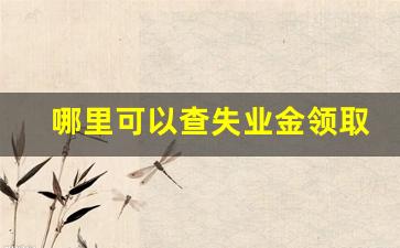 哪里可以查失业金领取情况_失业金发放进度在哪里看