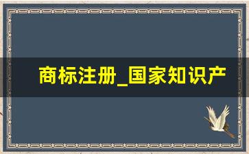 商标注册_国家知识产权局商标查询官网