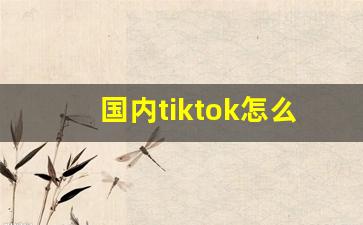 国内tiktok怎么看