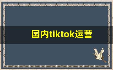 国内tiktok运营