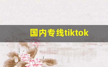 国内专线tiktok