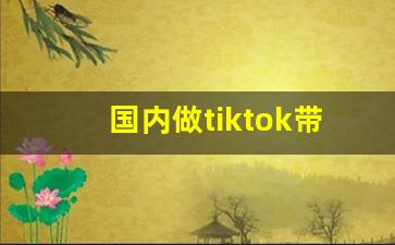 国内做tiktok带货_tiktok带货怎么样