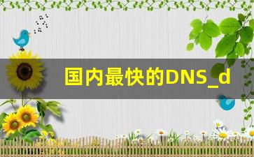 国内最快的DNS_dns哪个快又稳定