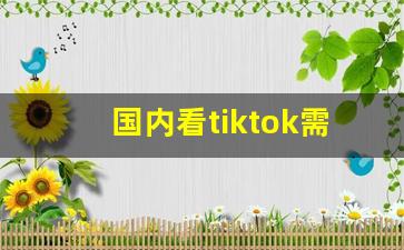 国内看tiktok需要翻墙吗_tiktok登录不了怎么解决