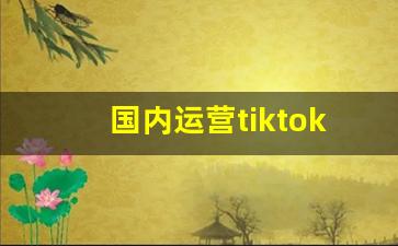 国内运营tiktok会封号吗