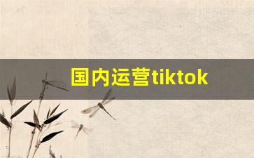 国内运营tiktok网络怎么解决