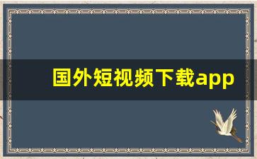 国外短视频下载app加速器_海外开放短视频软件下载安装