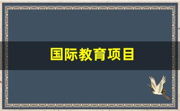 国际教育项目