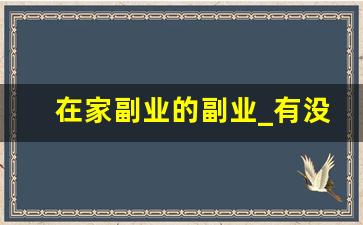 在家副业的副业_有没有什么副业在家可以做