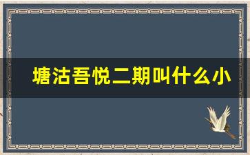 塘沽吾悦二期叫什么小区