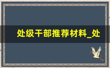 处级干部推荐材料_处级干部推荐材料范文