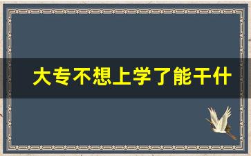 大专不想上学了能干什么_大专上到一半不想读了