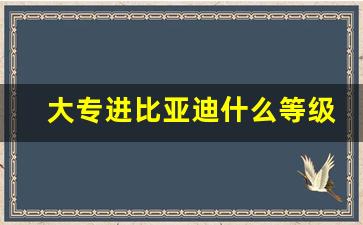 大专进比亚迪什么等级_高中学历在比亚迪什么等级