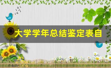 大学学年总结鉴定表自我总结