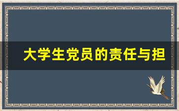 大学生党员的责任与担当心得体会