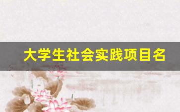 大学生社会实践项目名称大全_实践活动主题名称大全