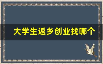 大学生返乡创业找哪个部门