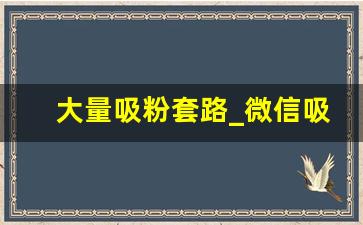 大量吸粉套路_微信吸粉价格