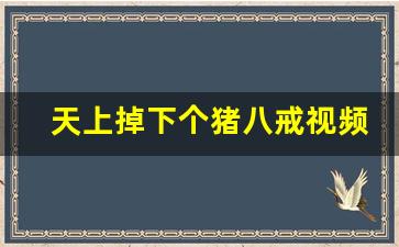 天上掉下个猪八戒视频_猪八戒大战牛魔王视频