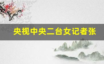 央视中央二台女记者张露馨_央视13女主持人名单