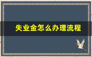 失业金怎么办理流程