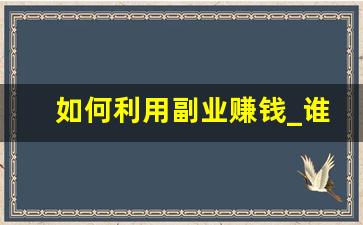 如何利用副业赚钱_谁还没个副业视频抢银行